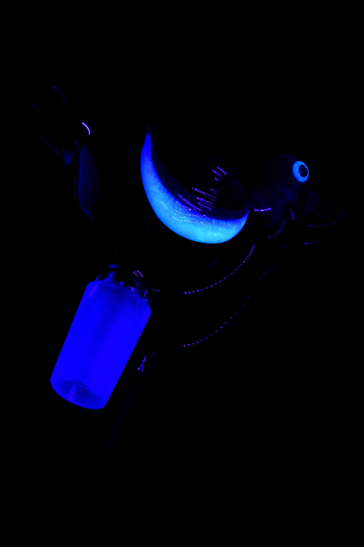 Glow-in-the-dark duck bong bowl highlighting illuminated wing detail with 14.5 mm male slide in low light.