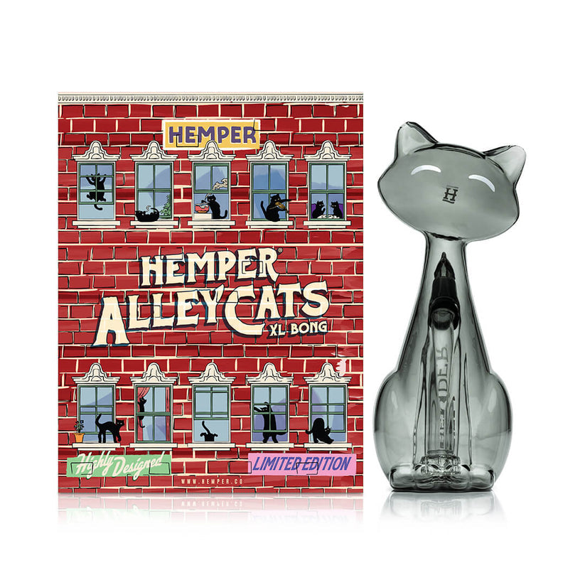 Front view of Hemper Alley Cats XL 9.5-inch smoky gray cat glass bong standing next to illustrated brick apartment box.