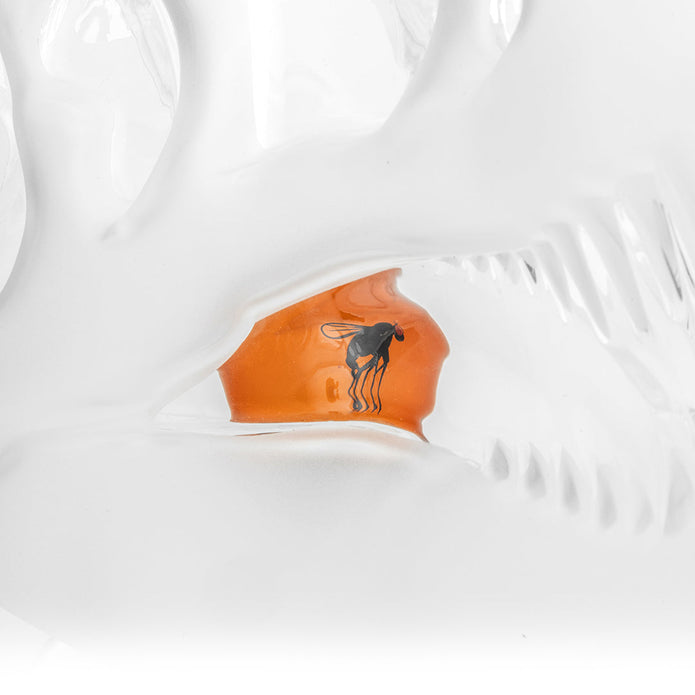Close-up of amber inner “ember” detail inside frosted skull bong, small black dinosaur silhouette on the orange glass