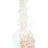 Clear soft glass skull water pipe with spiral neck rings and included grommeted slide shown; lightweight look with subtle shimmer.