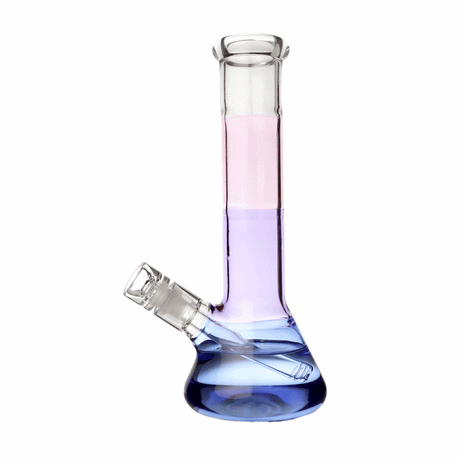 Animated Sorbet BigFun! glass bong view showing the pink, purple and blue tricolor body with beaker base